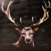 HJORTBILD TAVLA 100X100