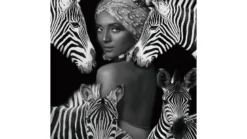 Tavla Zebra Queen, glas, 120x120 K